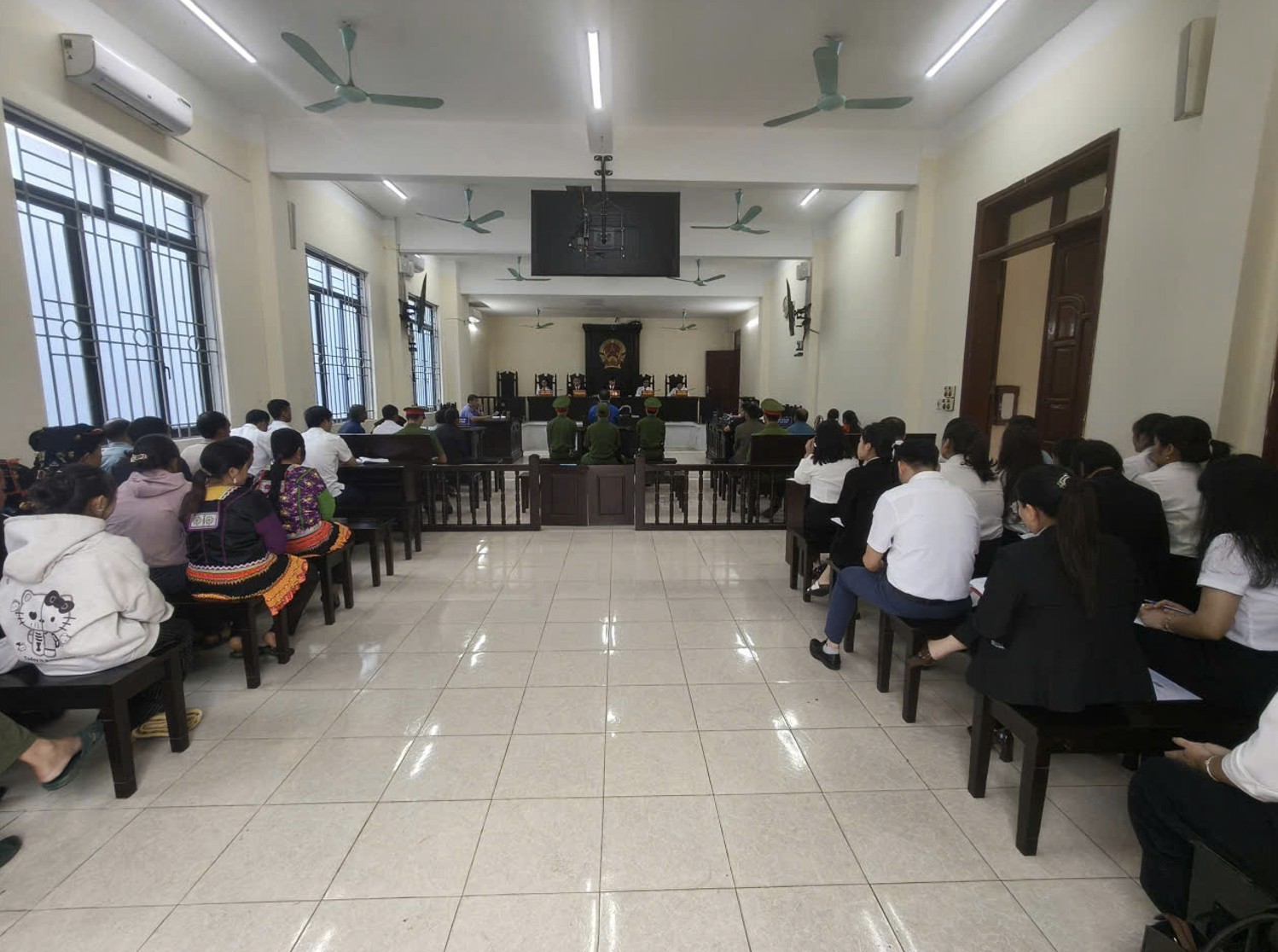 Ảnh đại diện bài viết: