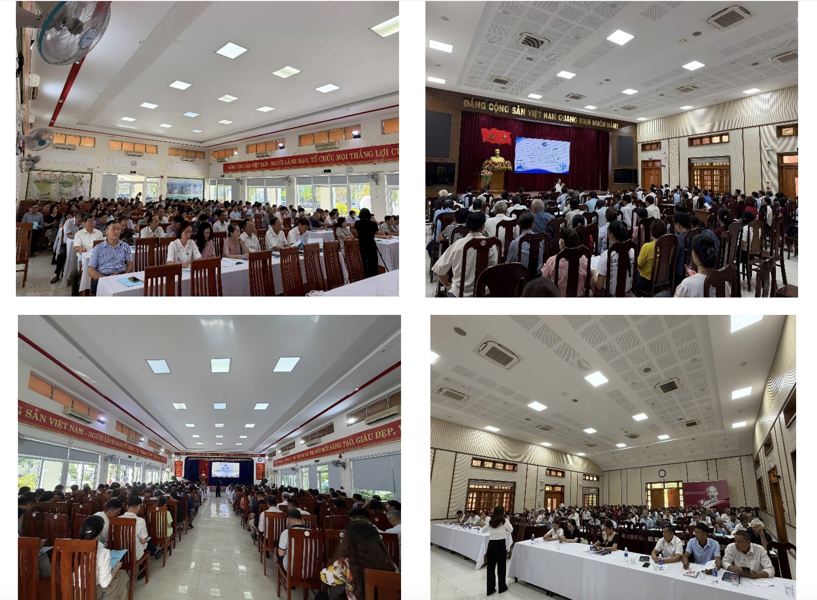 Ảnh chụp Màn hình 2026-08-17 lúc 17.16.45.png