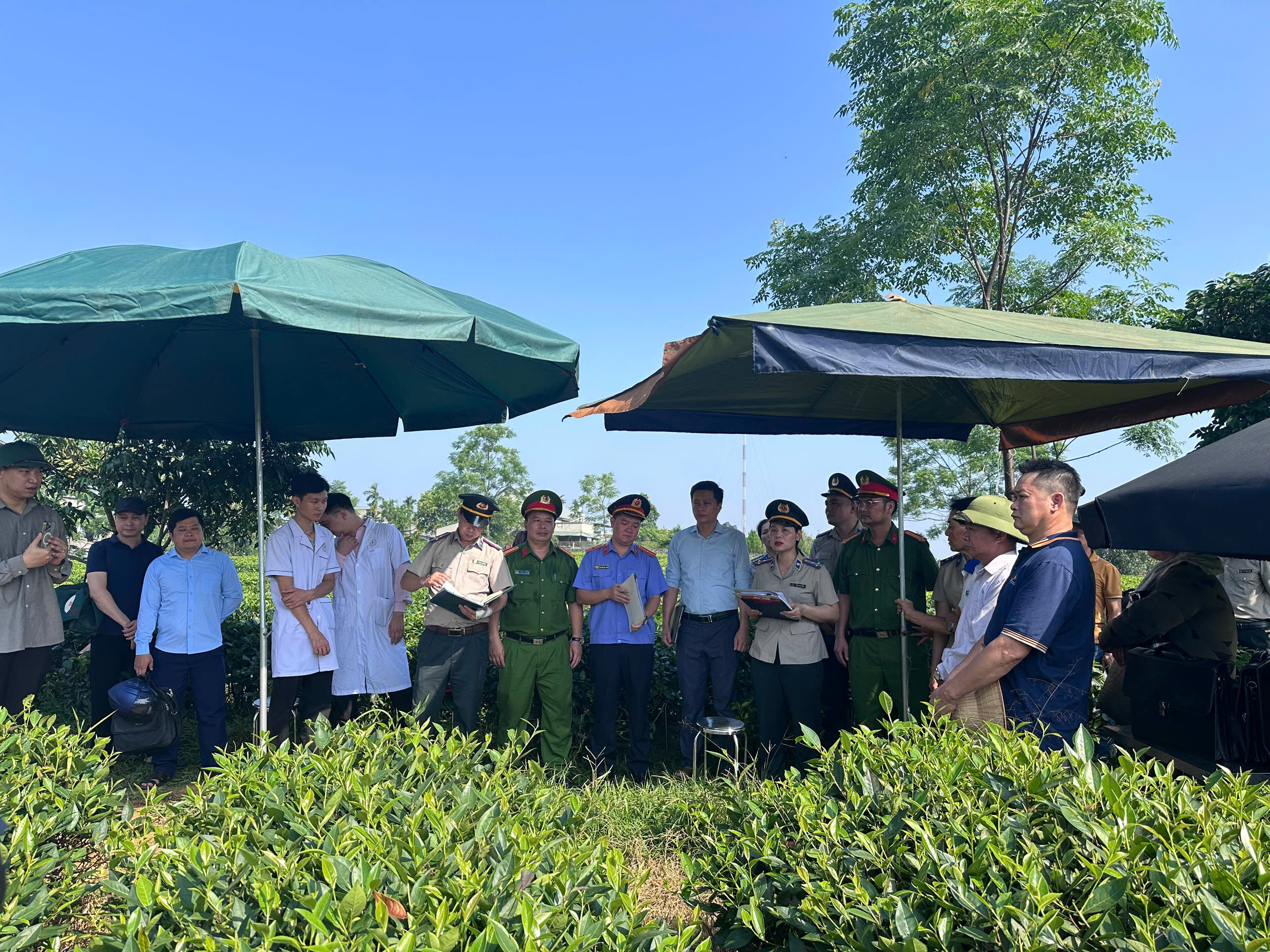 Ảnh đại diện cưỡng chế chuyển giao quyền sử dụng đất tại phường mỹ lâm