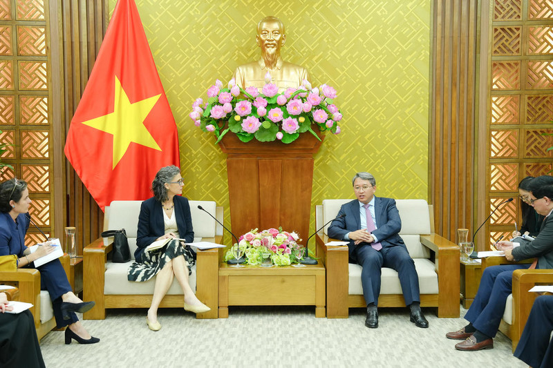 Triển khai nhiều hoạt động hợp tác hiệu quả, thiết thực về pháp luật và tư pháp giữa Việt Nam và UNDP