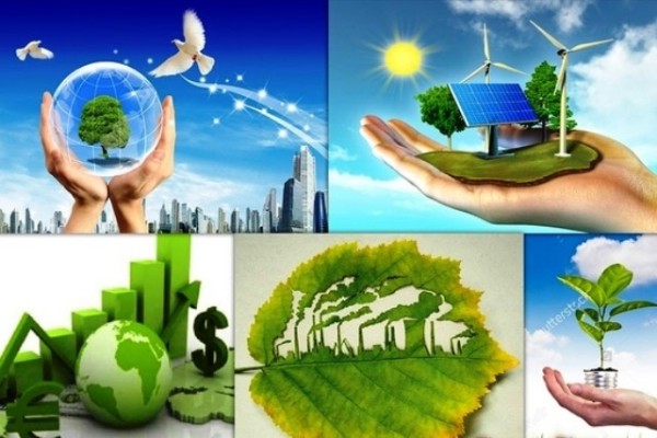 Ảnh đại diện Sở Tư pháp Hải Phòng đẩy mạnh chuyển đổi xanh giai đoạn 2026-2030