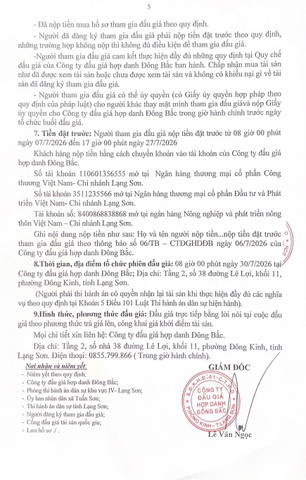 đg5.png