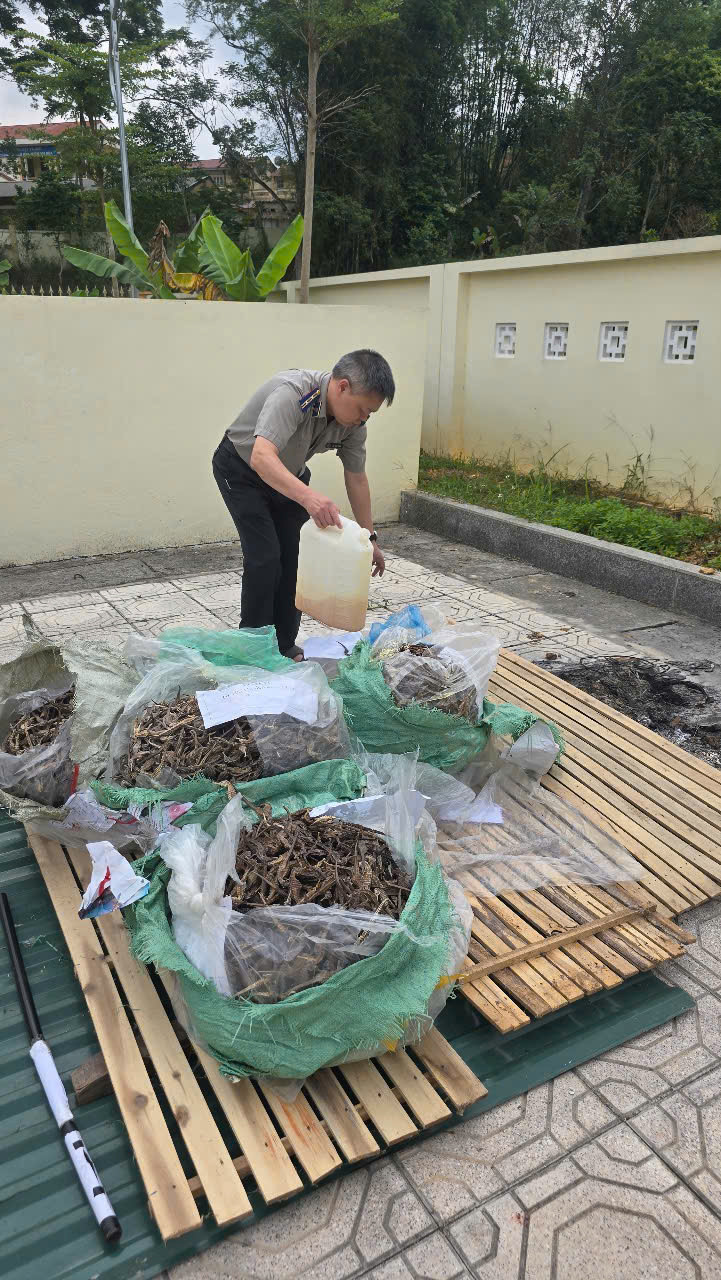 Ảnh đại diện phòng thi hành án dân sự khu vực 4 tiêu hủy vật chứng đối với các bản án có hiệu lực pháp luật
