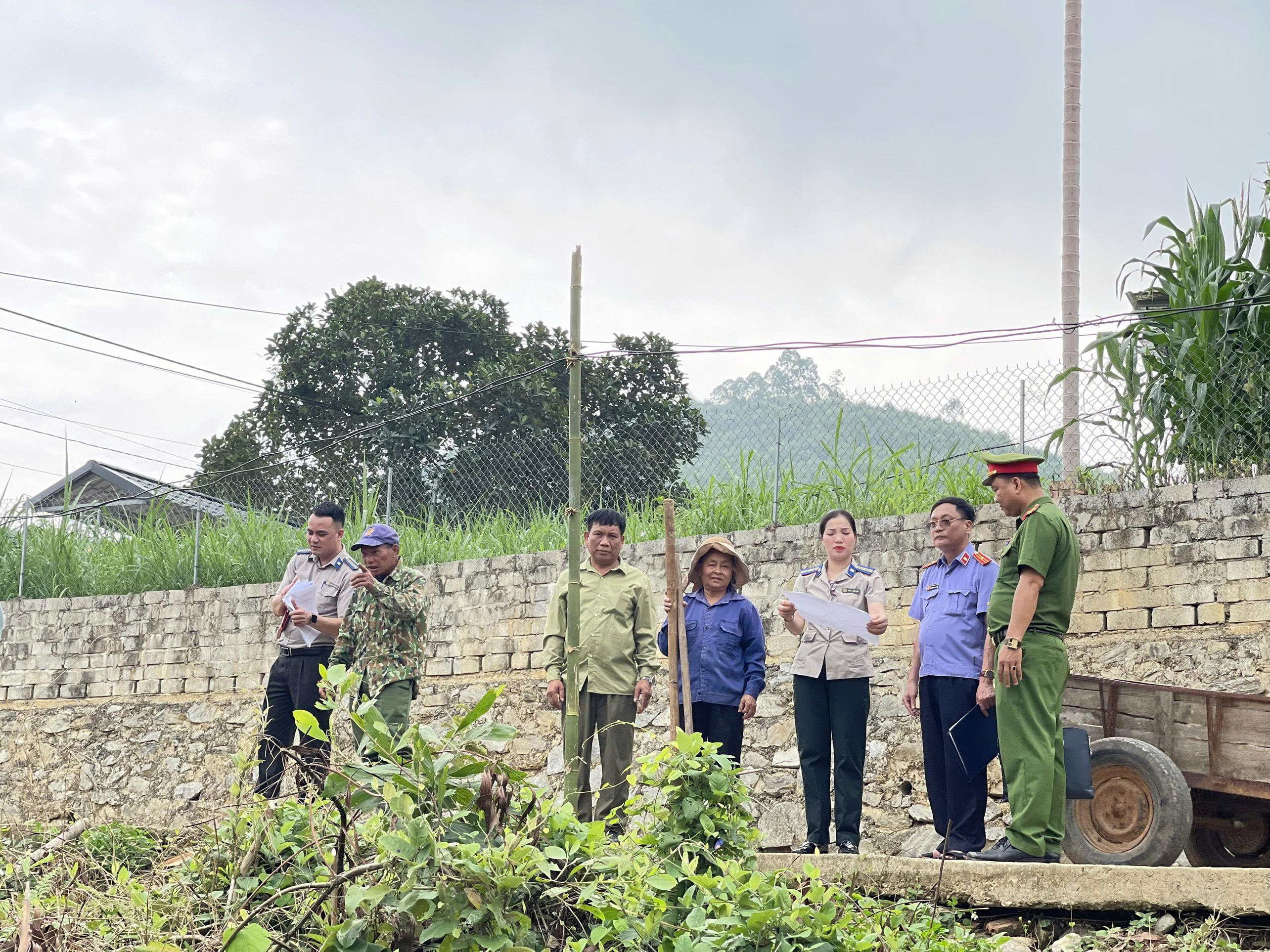 Ảnh đại diện bài viết: