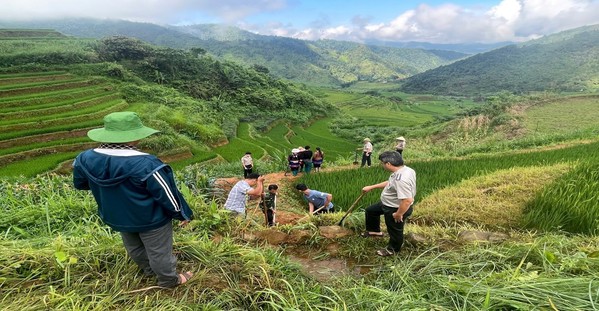 Ảnh đại diện Phòng Thi hành án dân sự khu vực 2 tổ chức cưỡng chế thi hành án bảo đảm tính nghiêm minh của pháp luật