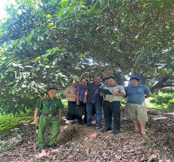 Ảnh đại diện Phòng Nghiệp vụ và Tổ chức thi hành án dân sự - THADS TP Cần Thơ cưỡng chế giao tài sản cho người mua trúng đấu giá tại phường Tân Lộc, thành phố Cần Thơ