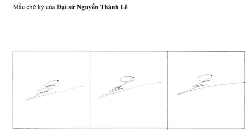 Ảnh đại diện bài viết: