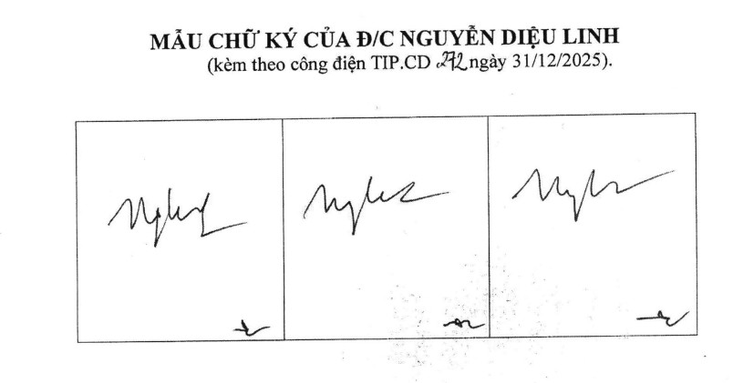 Ảnh đại diện bài viết: