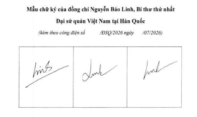 Ảnh đại diện bài viết: