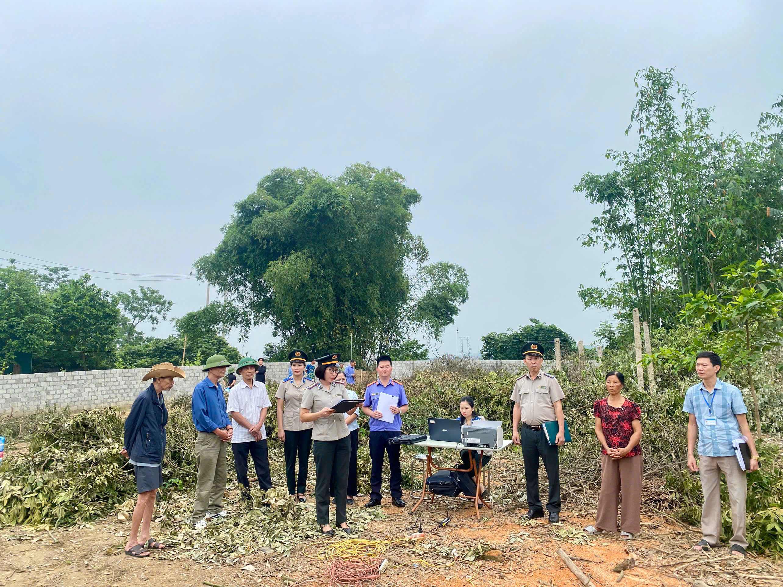 Ảnh đại diện bài viết: