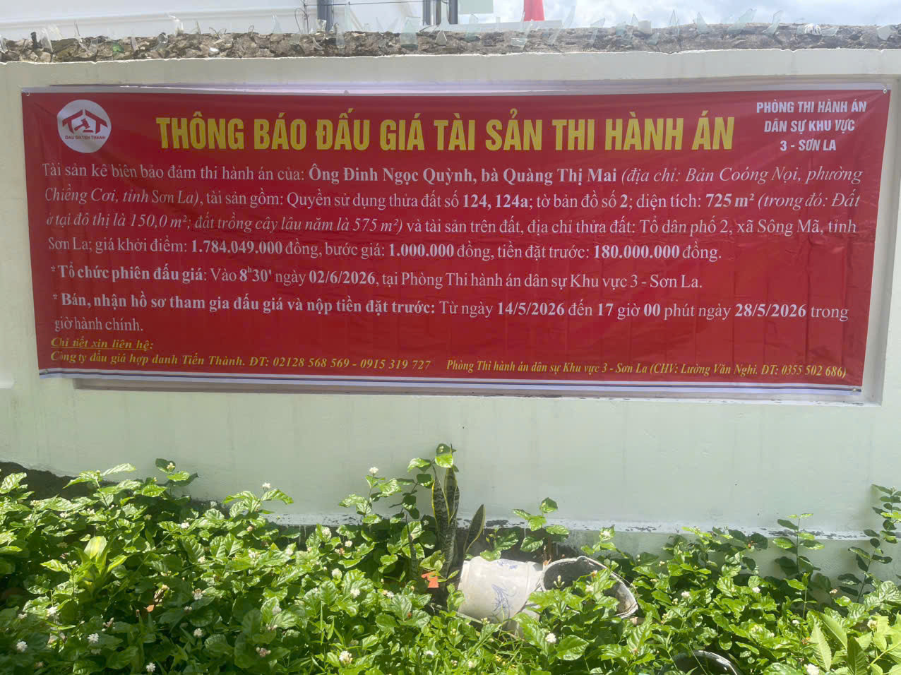 Ảnh đại diện bài viết: