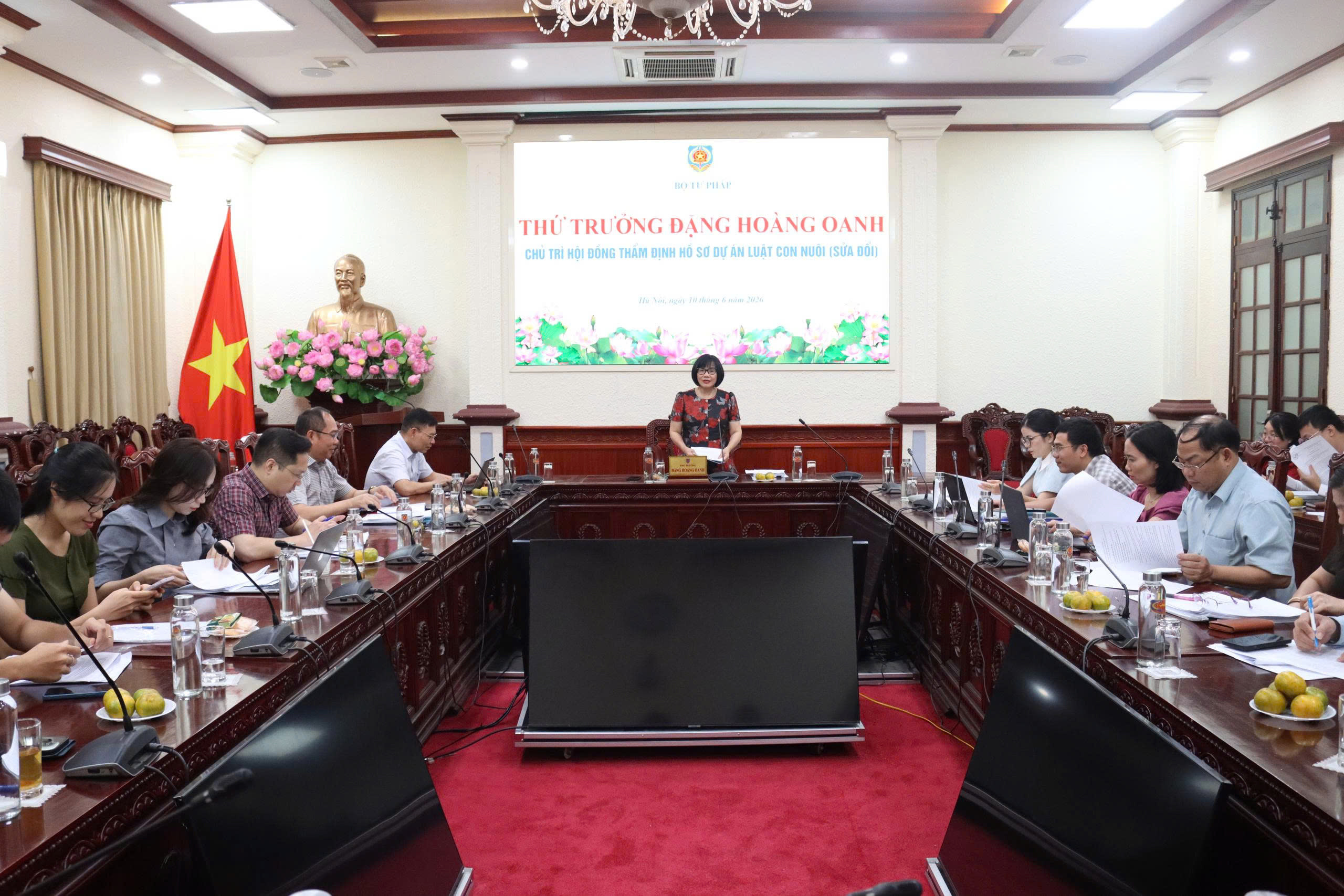 Thứ trưởng Bộ Tư pháp Đặng Hoàng Oanh chủ trì Hội đồng thẩm định hồ sơ dự án Luật Nuôi con nuôi (sửa đổi).